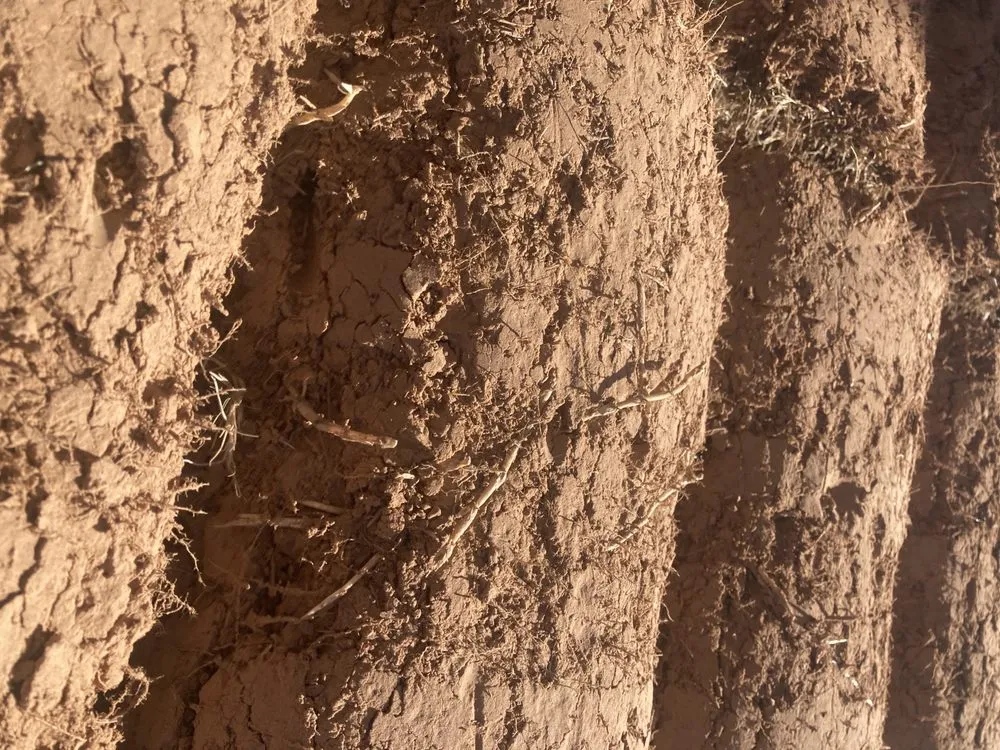 Reliable landscape design in Tulsa, OK by Quantum Sod