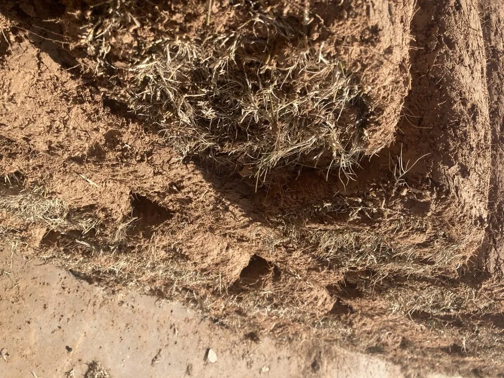 Custom yard maintenance in Tulsa, OK by Quantum Sod