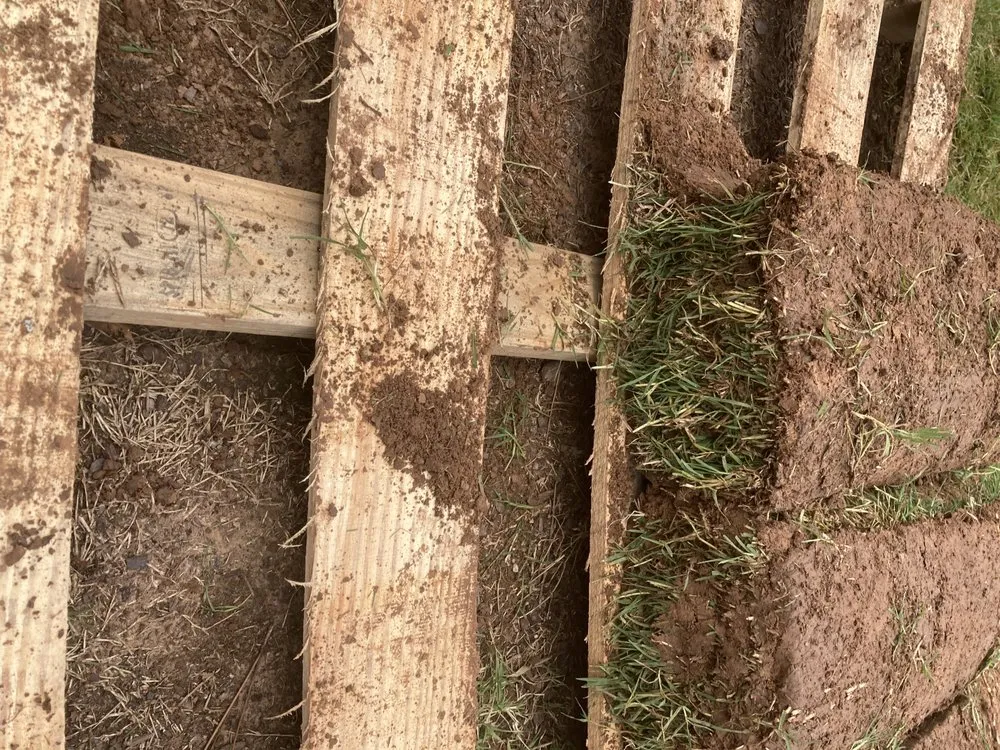 Custom yard maintenance in Tulsa, OK - Quantum Sod