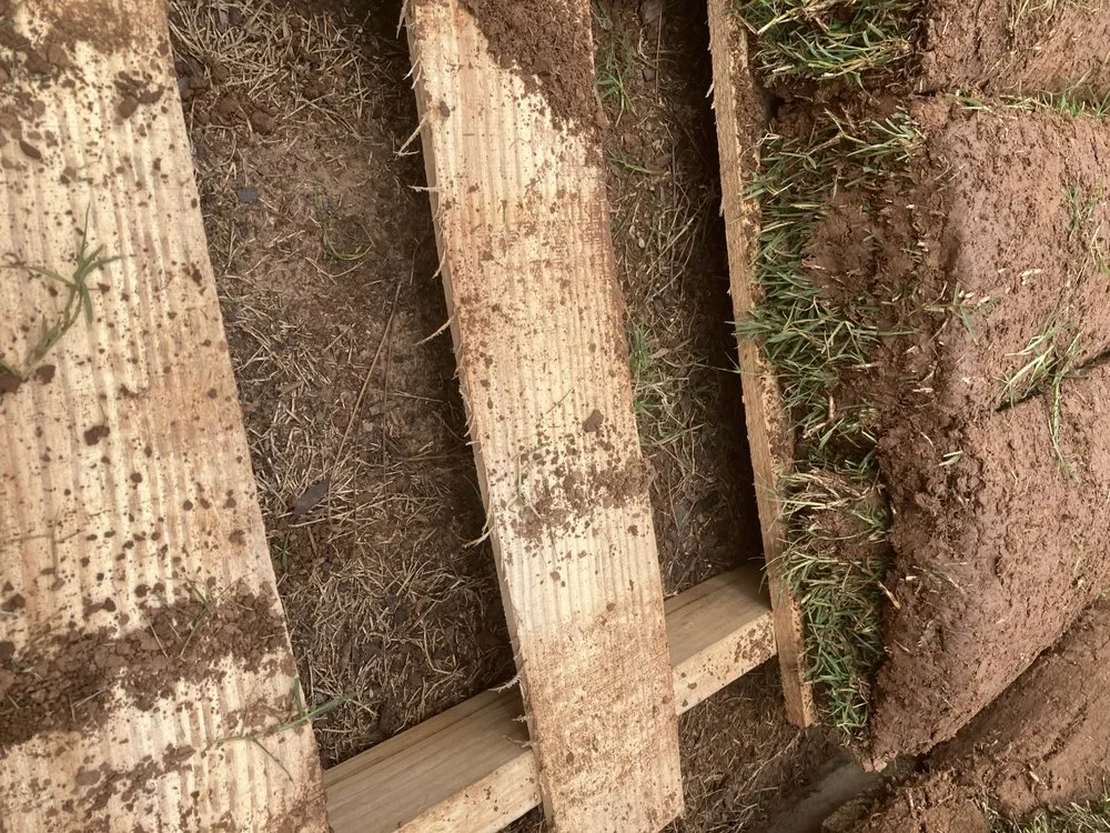 Affordable lawn mowing service for beautiful yards across Tulsa, OK - Quantum Sod