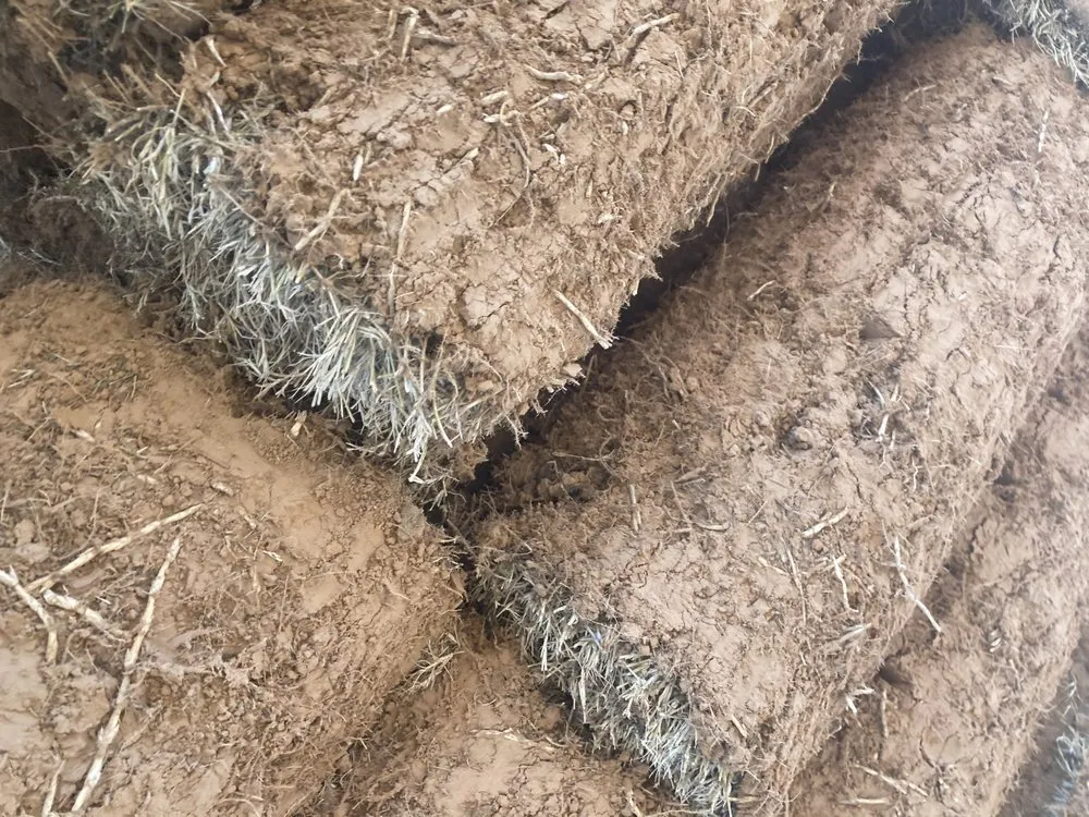 Affordable landscape design in Tulsa, OK by Quantum Sod