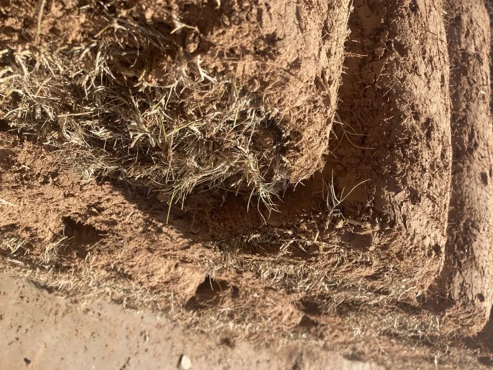 Affordable garden landscaping in Tulsa, OK by Quantum Sod