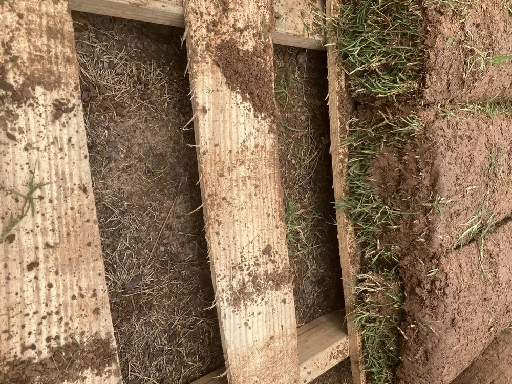 Expert landscaping services for homes in Tulsa, OK by Quantum Sod