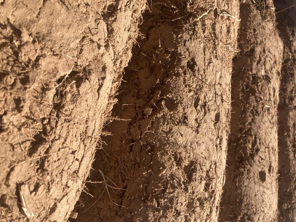 Professional lawn mowing service for beautiful yards across Tulsa, OK - Quantum Sod