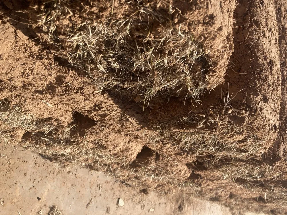 Expert residential landscaping in Tulsa, OK - Quantum Sod