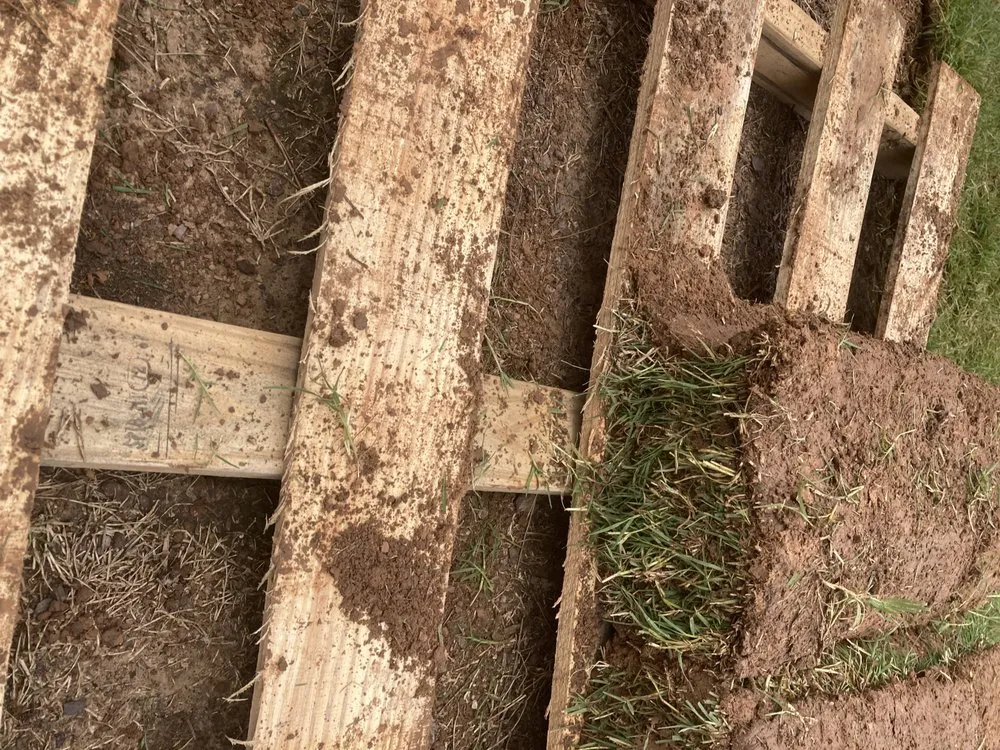 Local garden landscaping for homes in Tulsa, OK by Quantum Sod