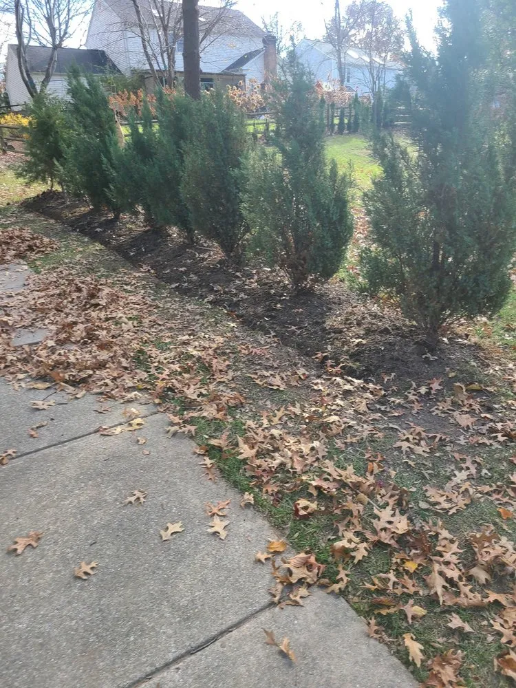 Affordable garden landscaping in Linthicum Heights, MD by Quasny & Son Landscaping