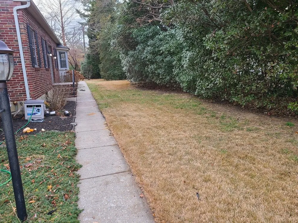 Top-rated lawn mowing service for year-round maintenance in Linthicum Heights, MD by Quasny & Son Landscaping