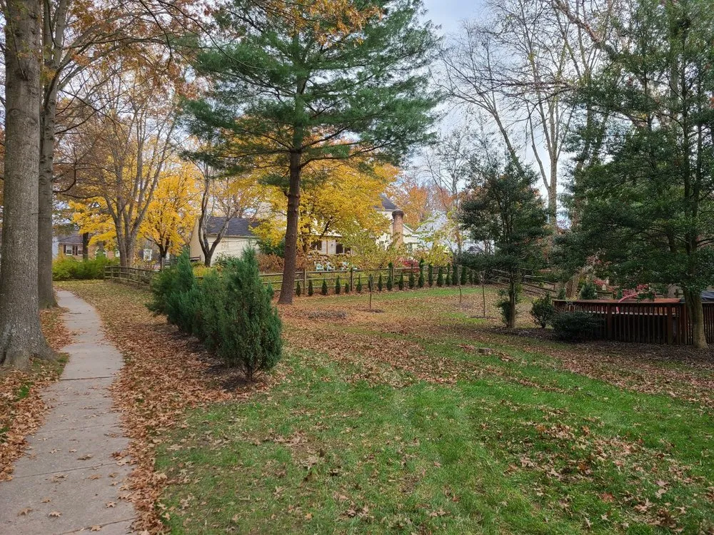 Affordable lawn mowing service in Linthicum Heights, MD - Quasny & Son Landscaping