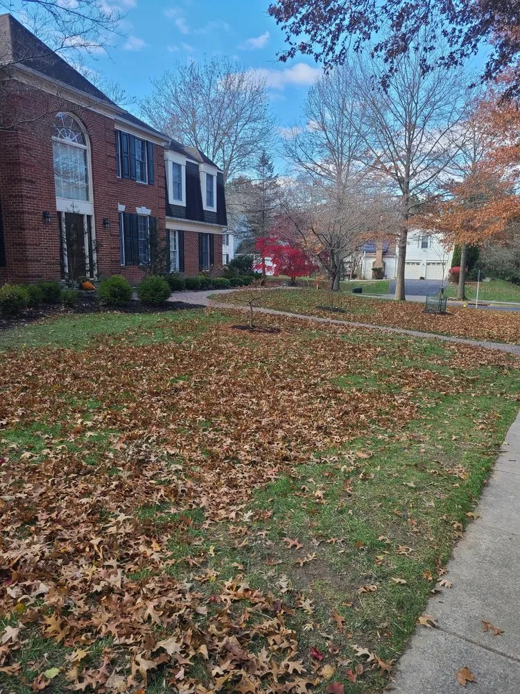 Local lawn mowing service experts serving Linthicum Heights, MD - Quasny & Son Landscaping