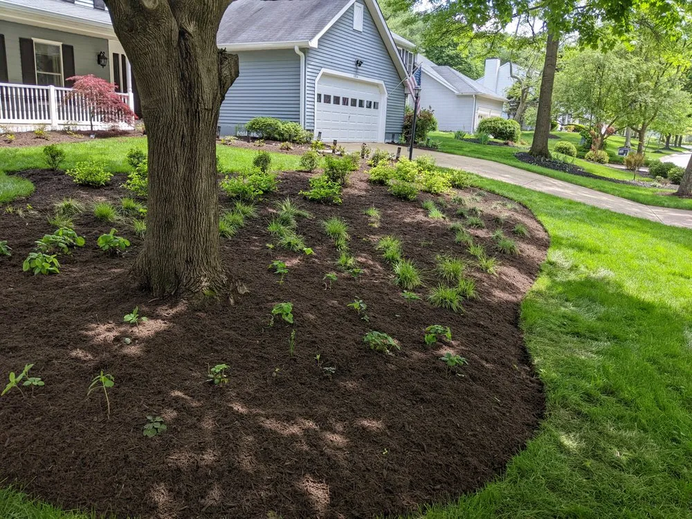 Custom residential landscaping experts serving Linthicum Heights, MD - Quasny & Son Landscaping