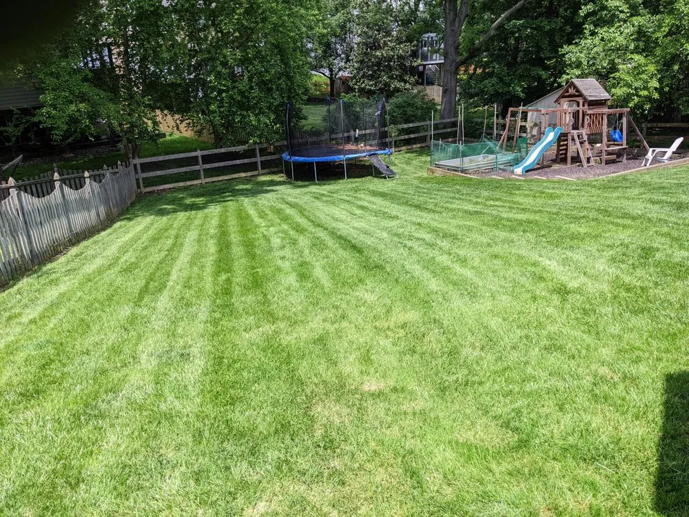 Local lawn care service in Linthicum Heights, MD by Quasny & Son Landscaping