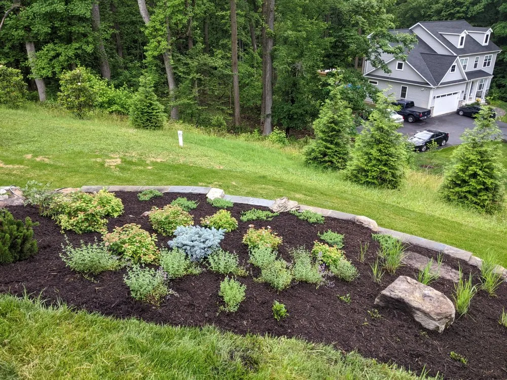 Expert yard cleanup service for homes across Linthicum Heights, MD - Quasny & Son Landscaping
