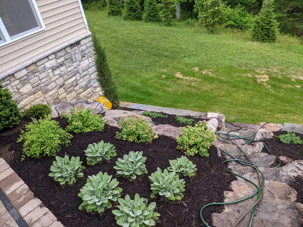 Top-rated residential landscaping near you in Linthicum Heights, MD by Quasny & Son Landscaping