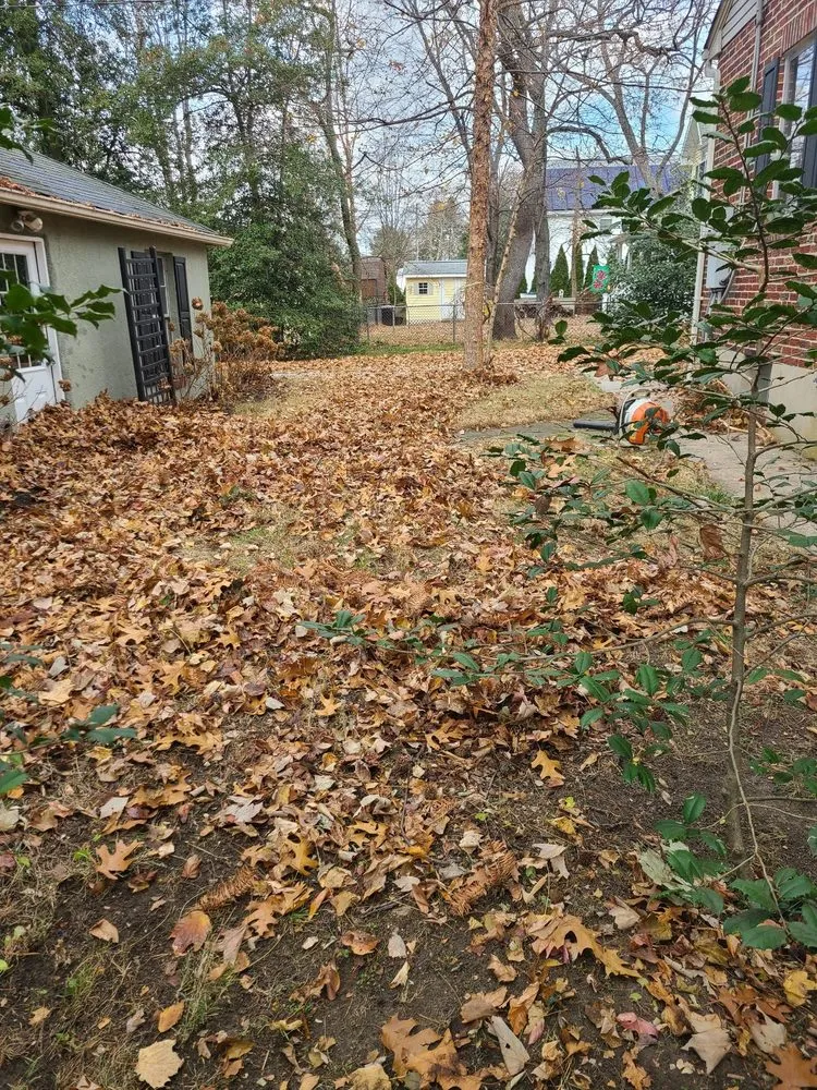 Trusted yard cleanup service for beautiful yards in Linthicum Heights, MD by Quasny & Son Landscaping