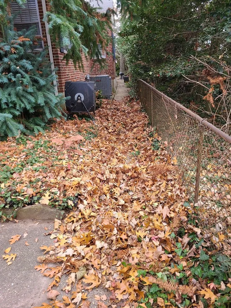 Local lawn care service in Linthicum Heights, MD by Quasny & Son Landscaping