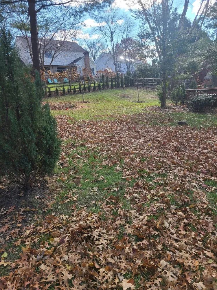 Local lawn care service with custom design across Linthicum Heights, MD - Quasny & Son Landscaping