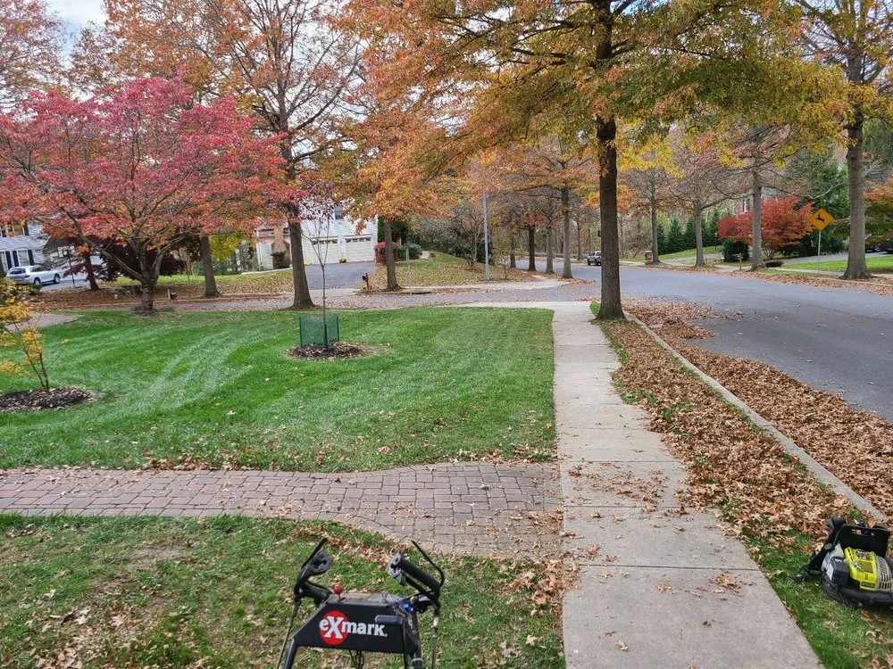 Reliable outdoor landscaping for beautiful yards in Linthicum Heights, MD by Quasny & Son Landscaping