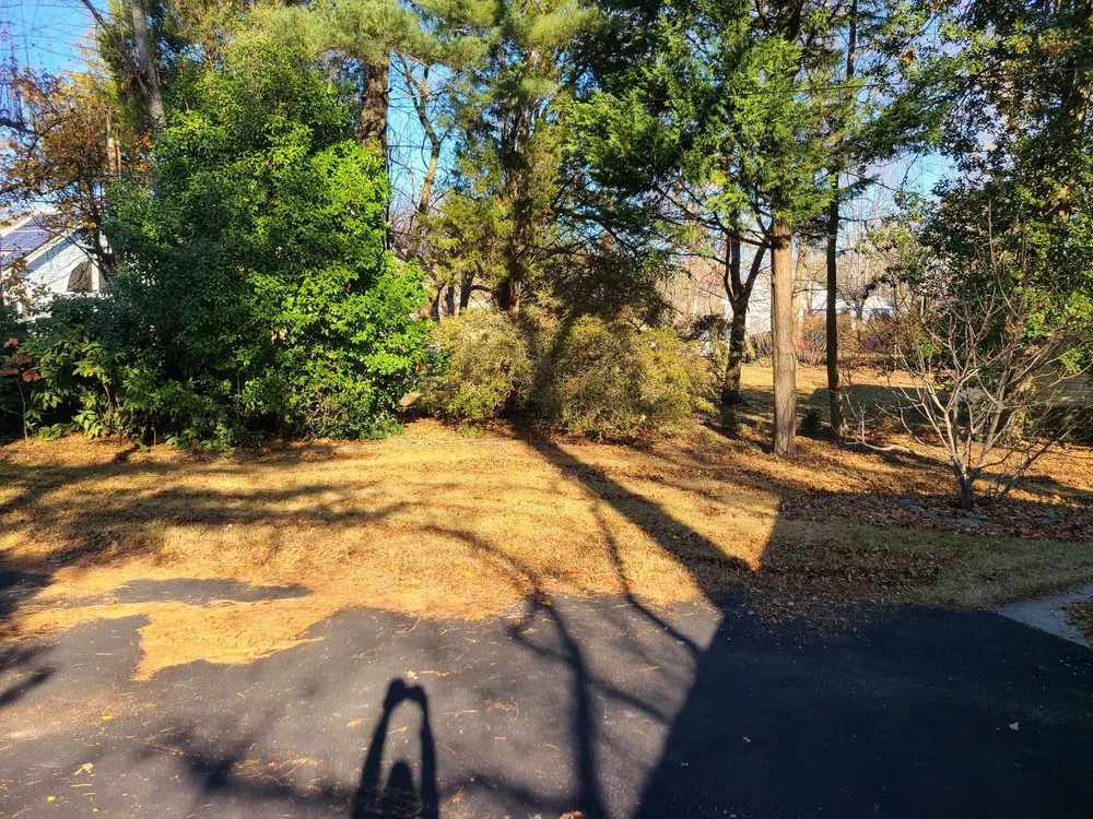 Professional landscape design experts serving Linthicum Heights, MD - Quasny & Son Landscaping