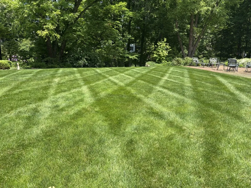 Trusted outdoor landscaping for homes across Kalamazoo, MI - Quays & Queens Quick-N-Clean