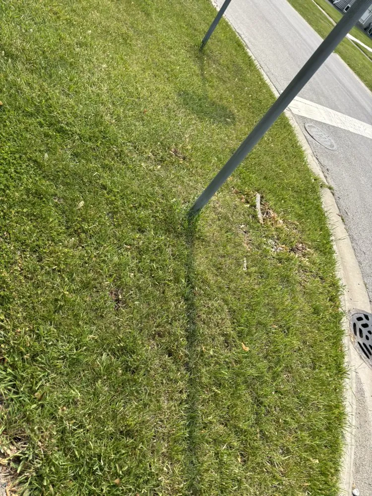 Reliable landscaping services for year-round maintenance in Homewood, IL by Que Cuts