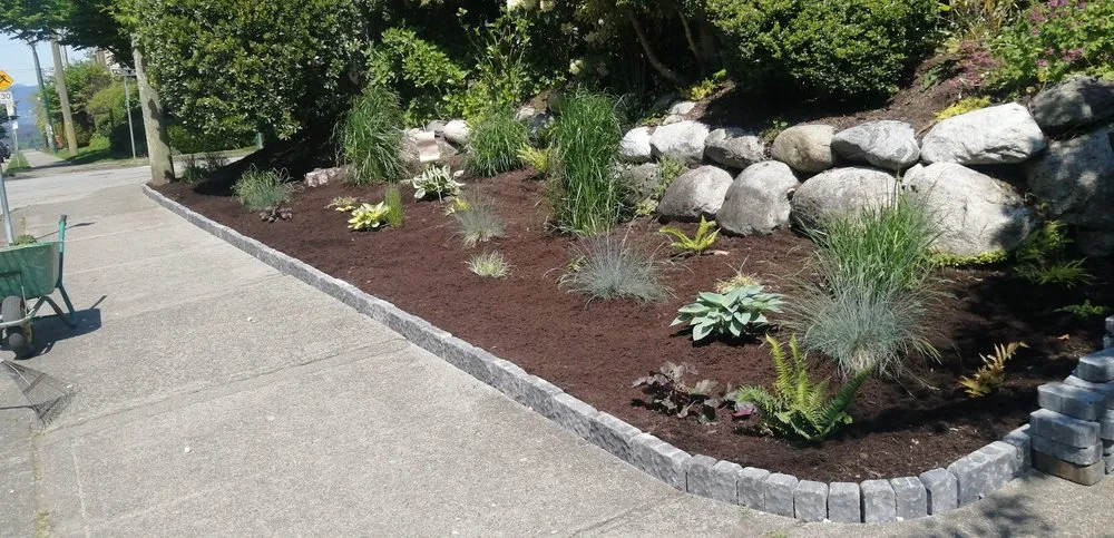 Expert lawn care service near you in Lutz, FL by QUE TUANIS Landscaping & Woodwork