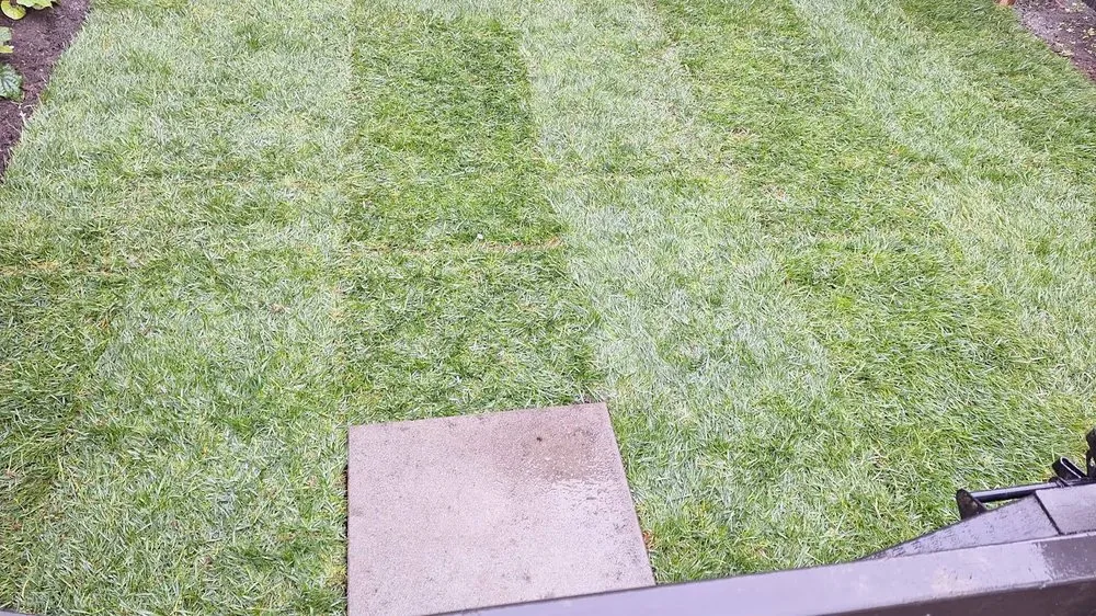 Affordable landscape design for homes across Lutz, FL - QUE TUANIS Landscaping & Woodwork