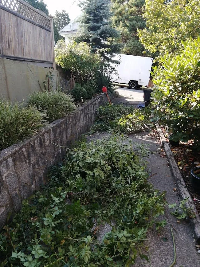 Top-rated lawn care service experts serving Lutz, FL - QUE TUANIS Landscaping & Woodwork