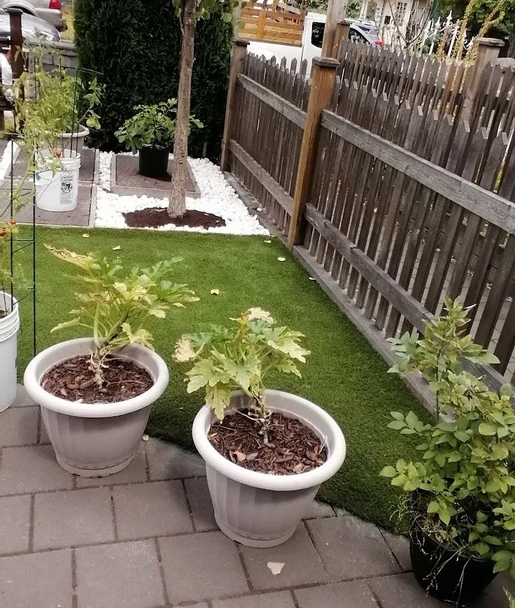 Expert landscaping services experts serving Lutz, FL - QUE TUANIS Landscaping & Woodwork