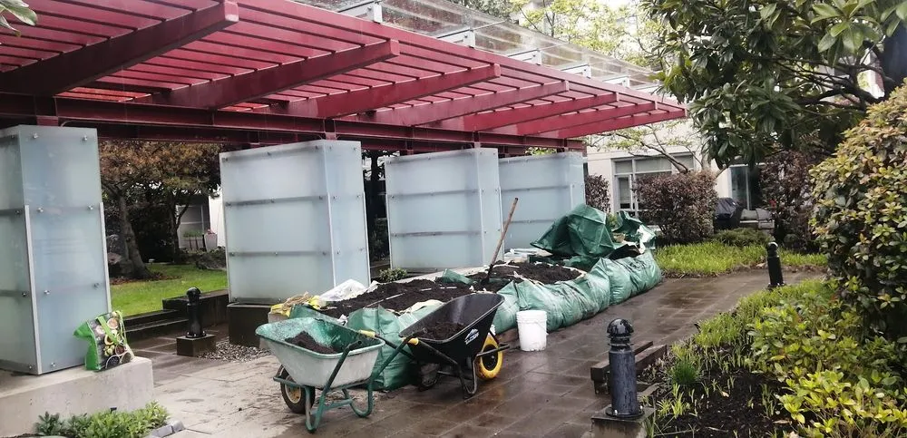 Professional yard cleanup service near you across Lutz, FL - QUE TUANIS Landscaping & Woodwork