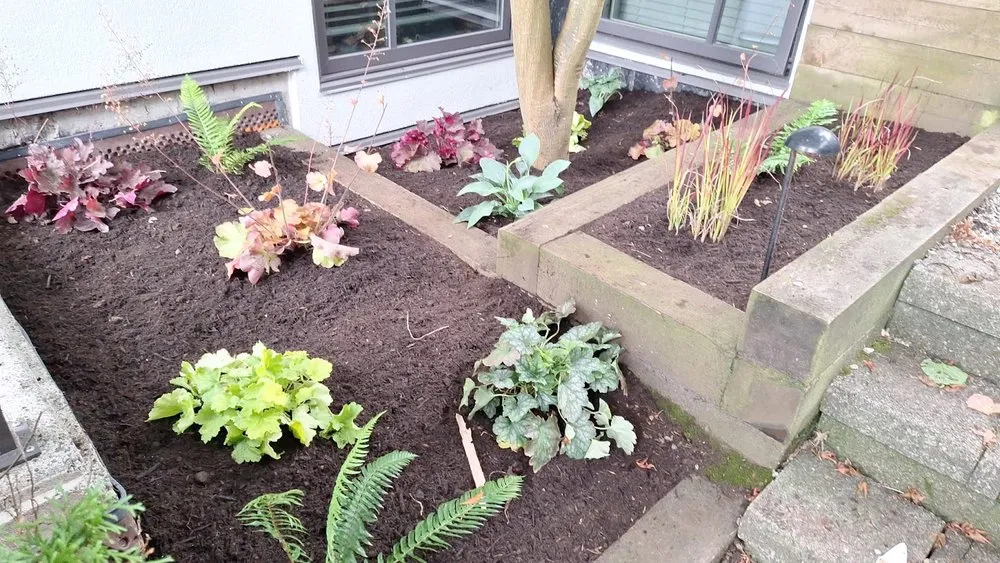 Top-rated landscaping services experts serving Lutz, FL - QUE TUANIS Landscaping & Woodwork