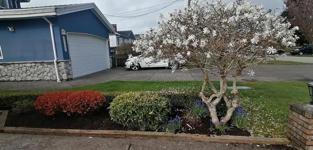 Professional residential landscaping in Lutz, FL - QUE TUANIS Landscaping & Woodwork