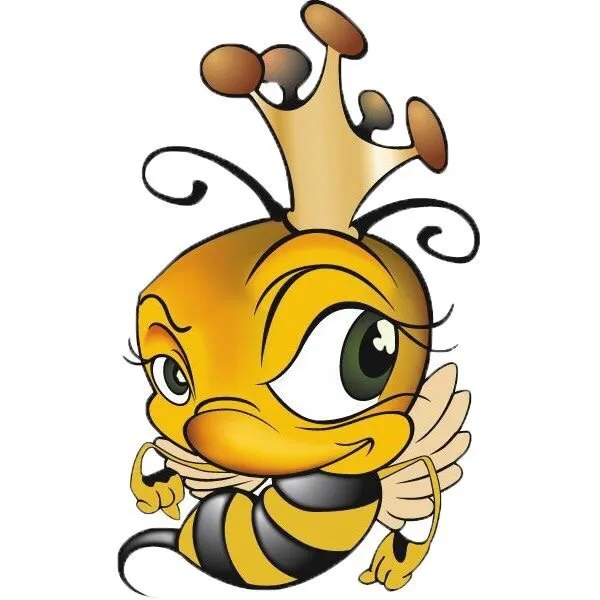 Expert yard cleanup service for year-round maintenance across Puyallup, WA - Queen Bee Lawn Service