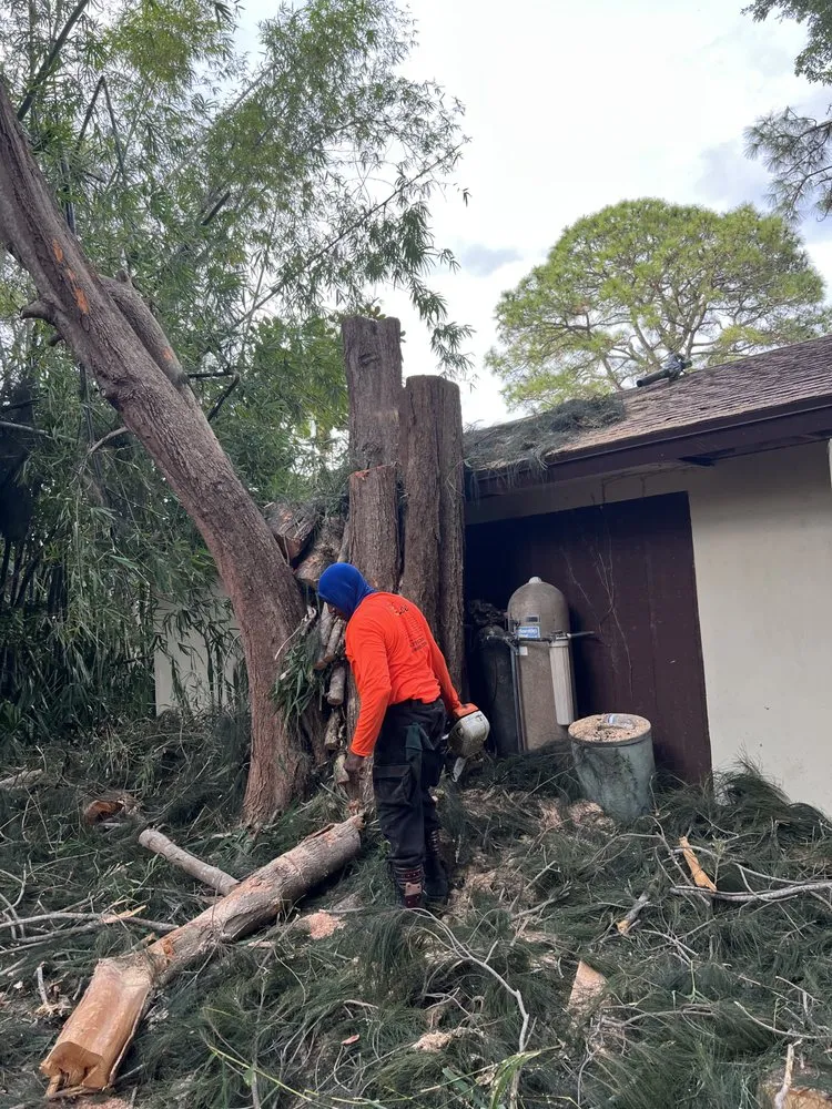 Local landscape installation for year-round maintenance across Boynton Beach, FL - Queen Bees Tree Care