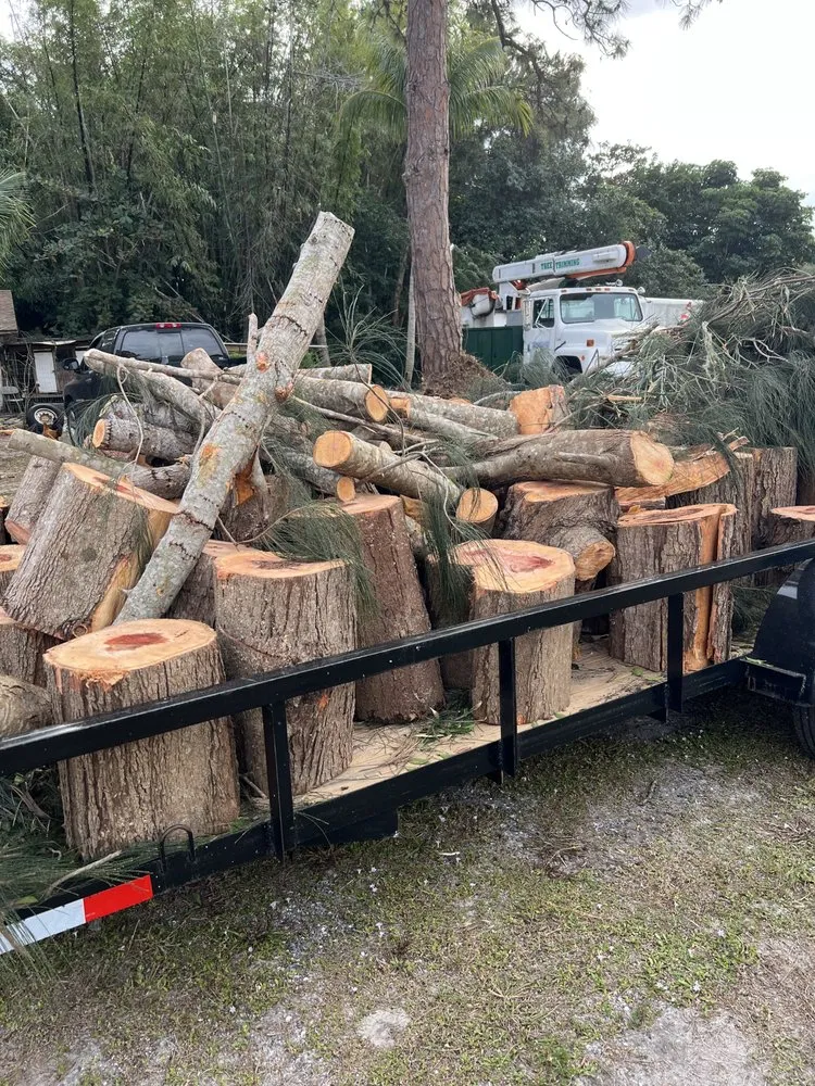 Local landscape design experts serving Boynton Beach, FL - Queen Bees Tree Care