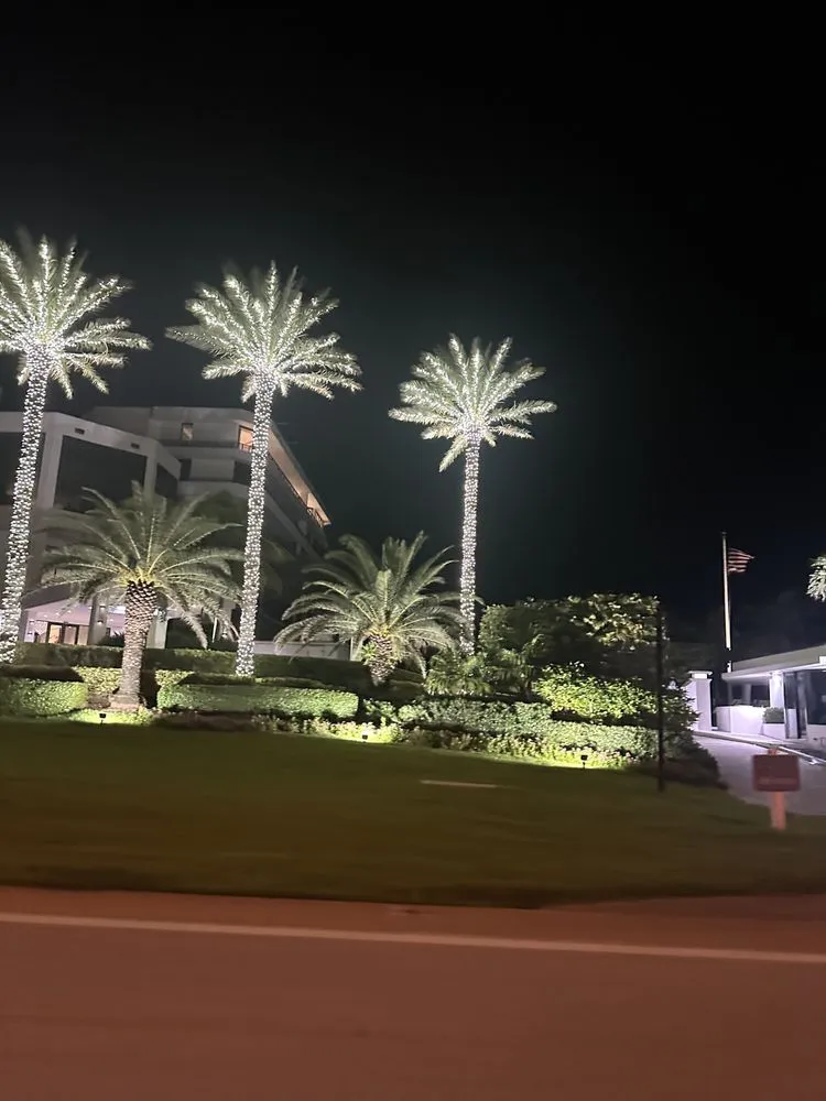 Trusted lawn mowing service experts serving Boynton Beach, FL - Queen Bees Tree Care