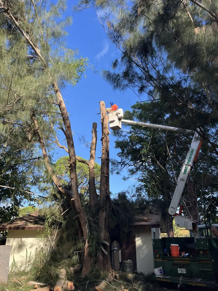 Top-rated garden landscaping in Boynton Beach, FL - Queen Bees Tree Care