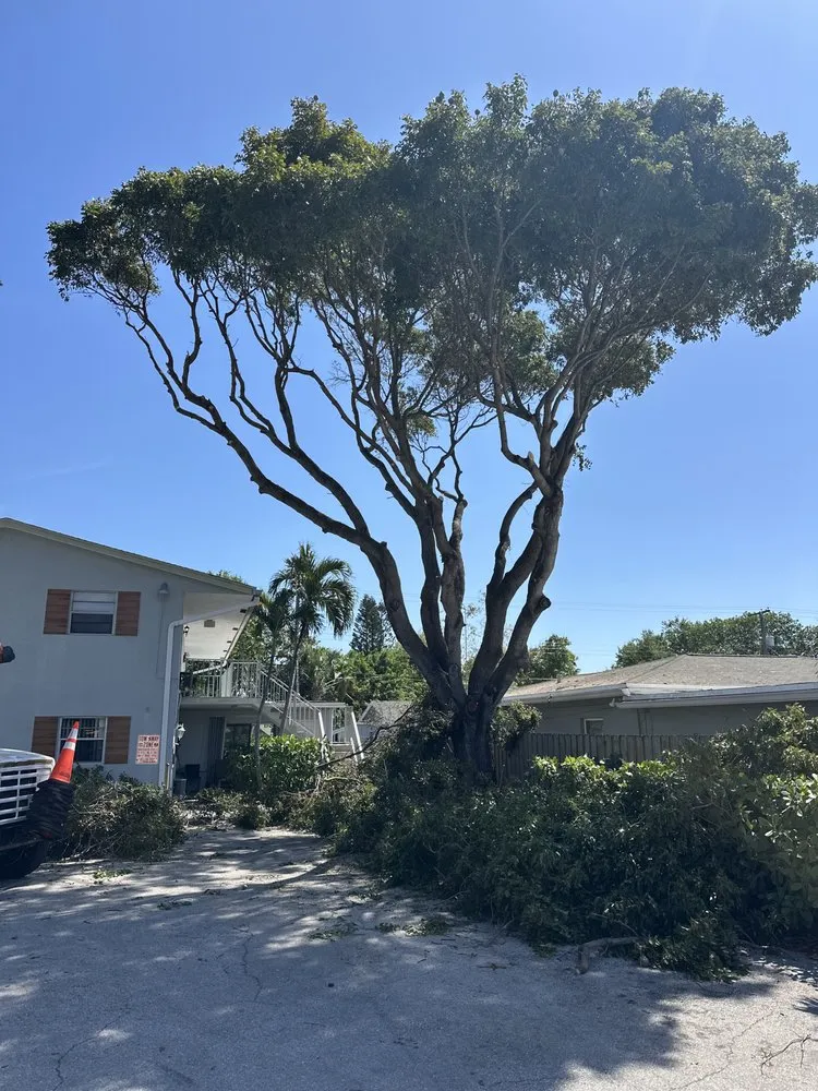 Local landscape design experts serving Boynton Beach, FL - Queen Bees Tree Care
