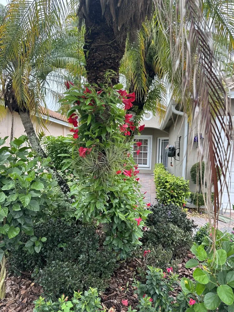 Local lawn care service in Boynton Beach, FL by Queen Bees Tree Care