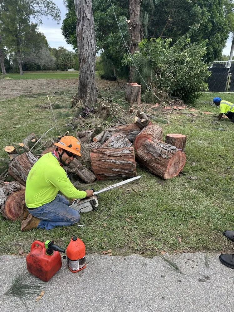 Affordable residential landscaping near you across Boynton Beach, FL - Queen Bees Tree Care