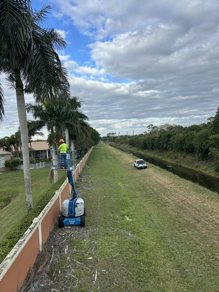Local residential landscaping in Boynton Beach, FL - Queen Bees Tree Care