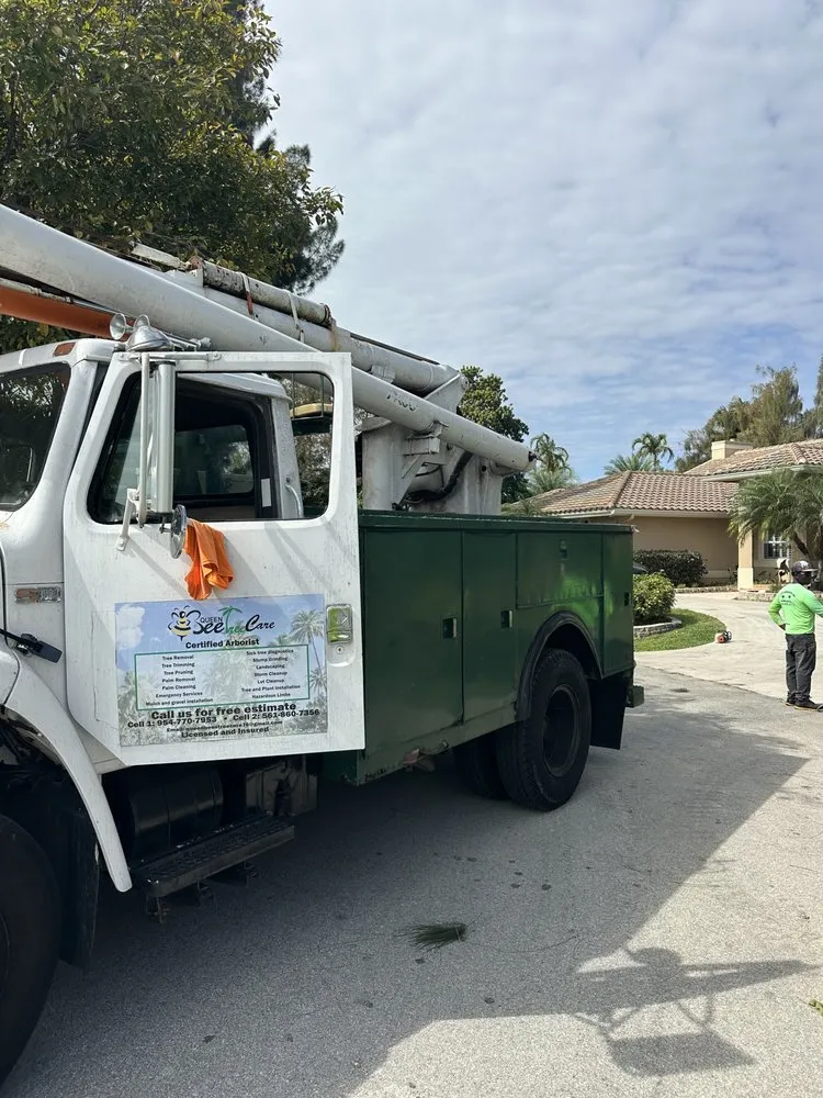 Reliable landscape installation in Boynton Beach, FL by Queen Bees Tree Care