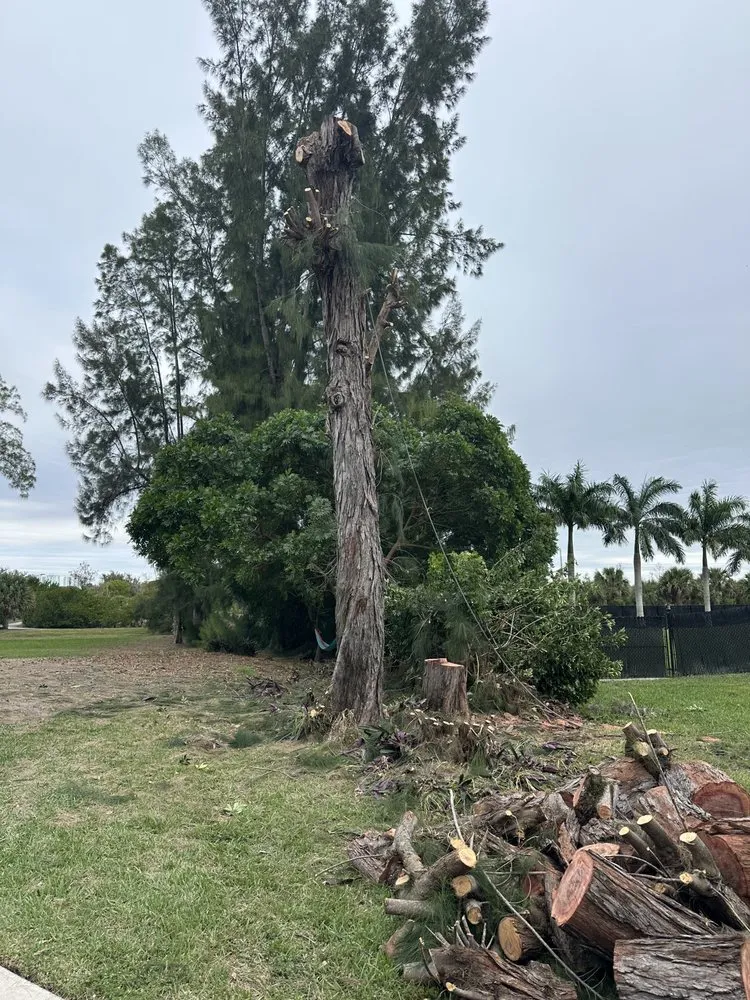 Professional lawn care service for homes across Boynton Beach, FL - Queen Bees Tree Care