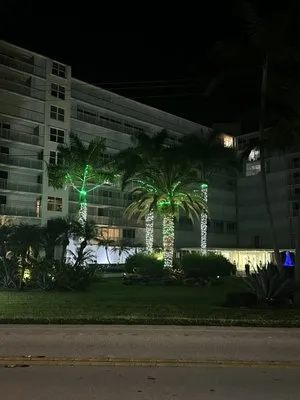 Queen Bees Tree Care Logo