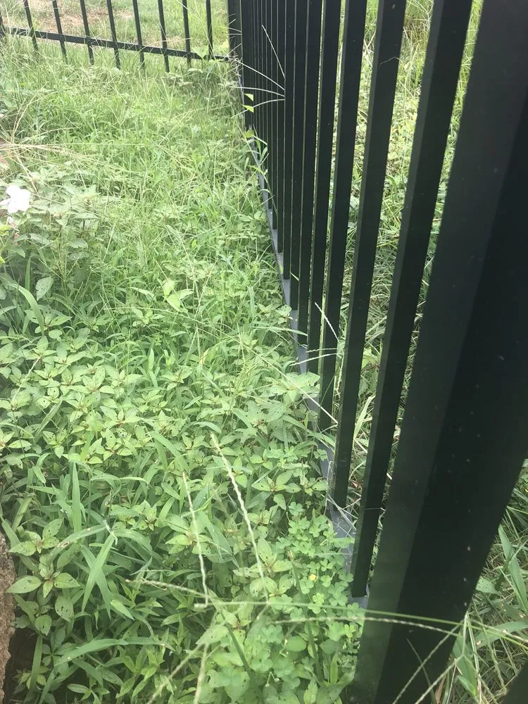 Trusted landscape installation in Charlotte, NC - Queen City Lawn & Landscaping