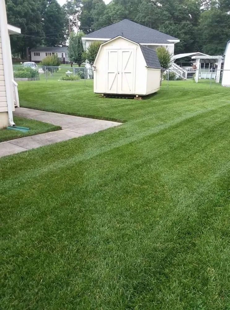 Custom yard cleanup service in Dallas, NC - Queens Lawncare