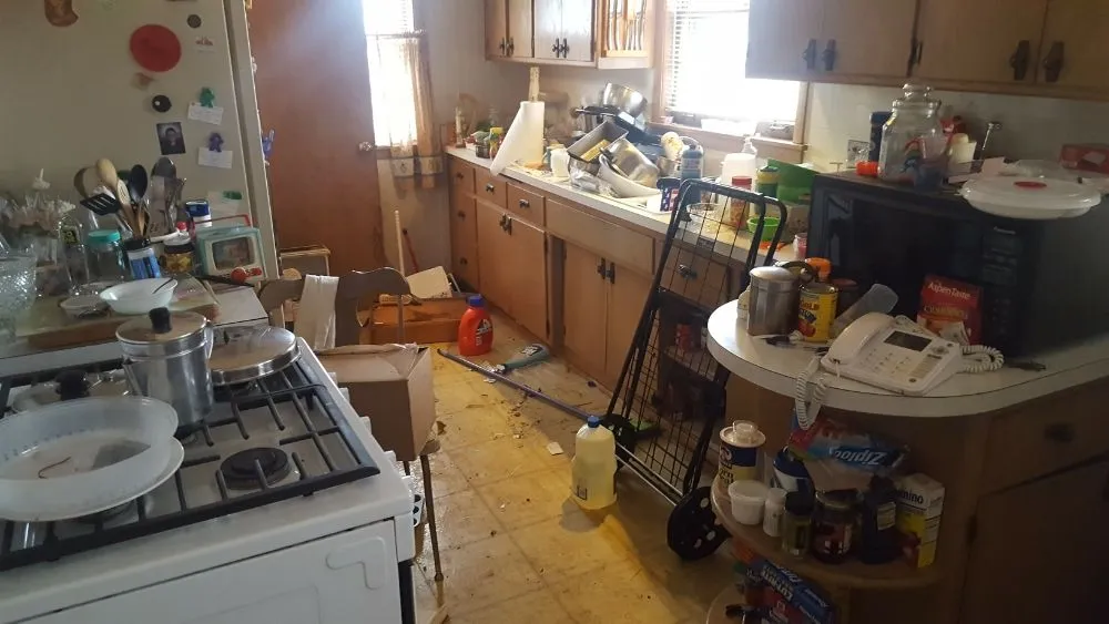 Affordable lawn mowing service experts serving La Porte, IN - Queens of Clean