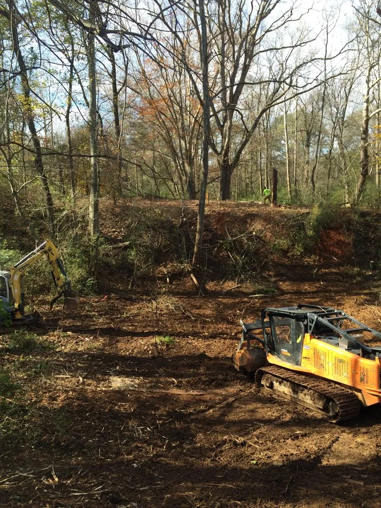 Professional landscape installation for residential properties in Murfreesboro, TN by Queen's Tree Surgery