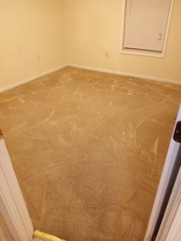 Expert lawn care service in Anderson, SC by Quen&Christy Affordable Lawn Maintenance And Home Cleaning