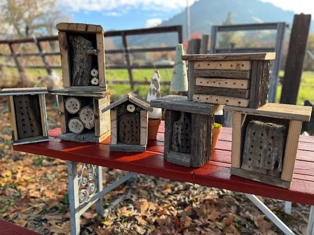 Reliable lawn mowing service experts serving Springville, CA - Quercus Landscape Design